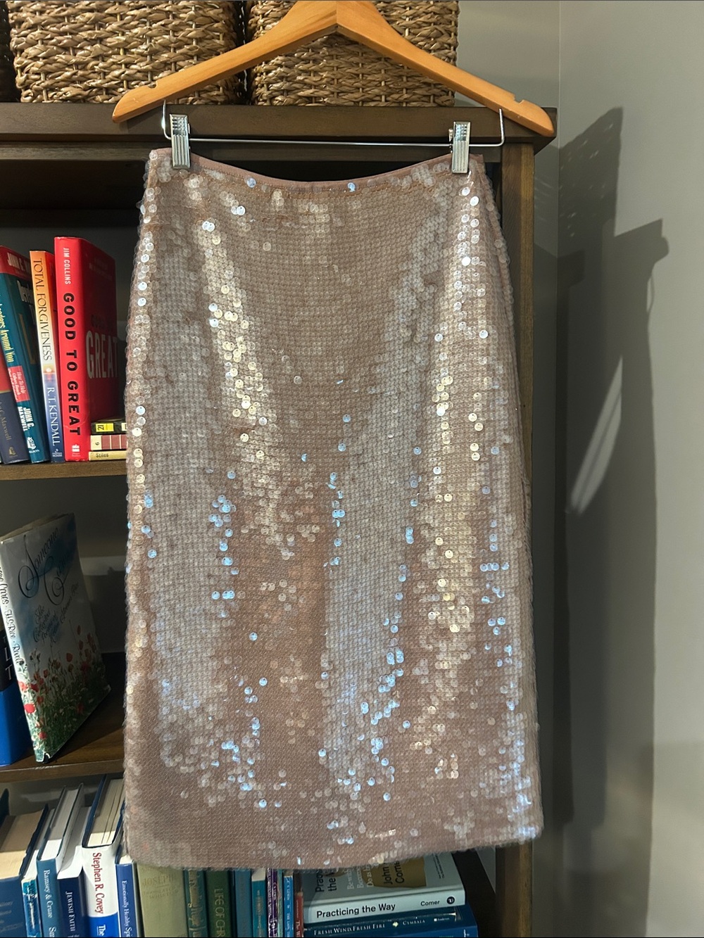 Madewell Sequin Midi Skirt - Light Blush